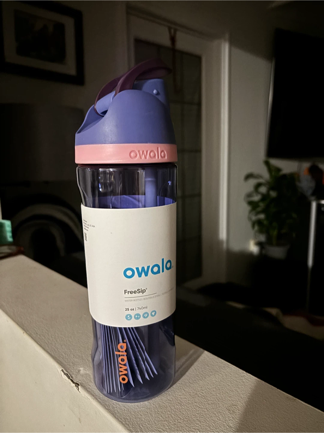 Owala FreeSip 25oz Water Bottle