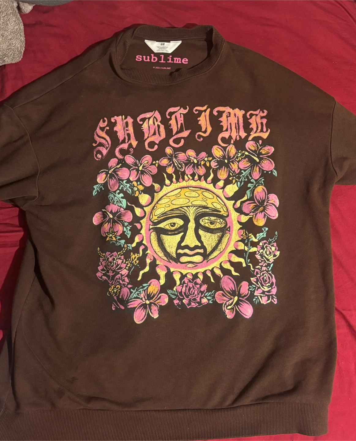 H&M Sublime Graphic Sweatshirt Brown
