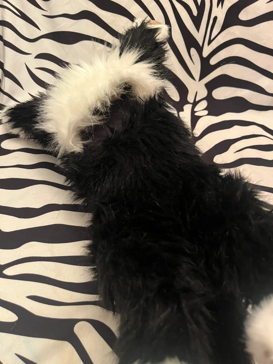 🐾  Folkmanis Tuxedo Cat Hand Puppet 🐾 - photo 3