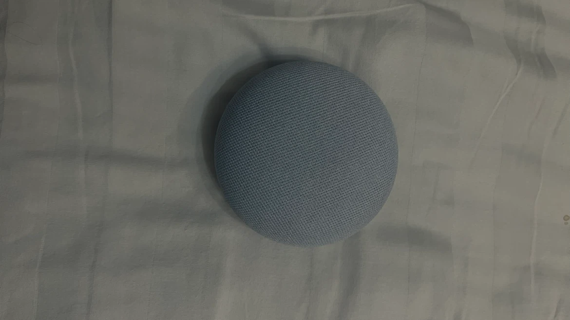 Google Nest Mini Smart Speaker
