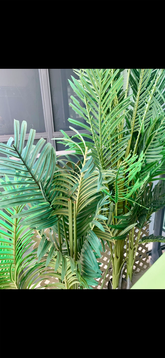 FREE! NOW! Set of 9 Artificial Palms Plants - photo 3