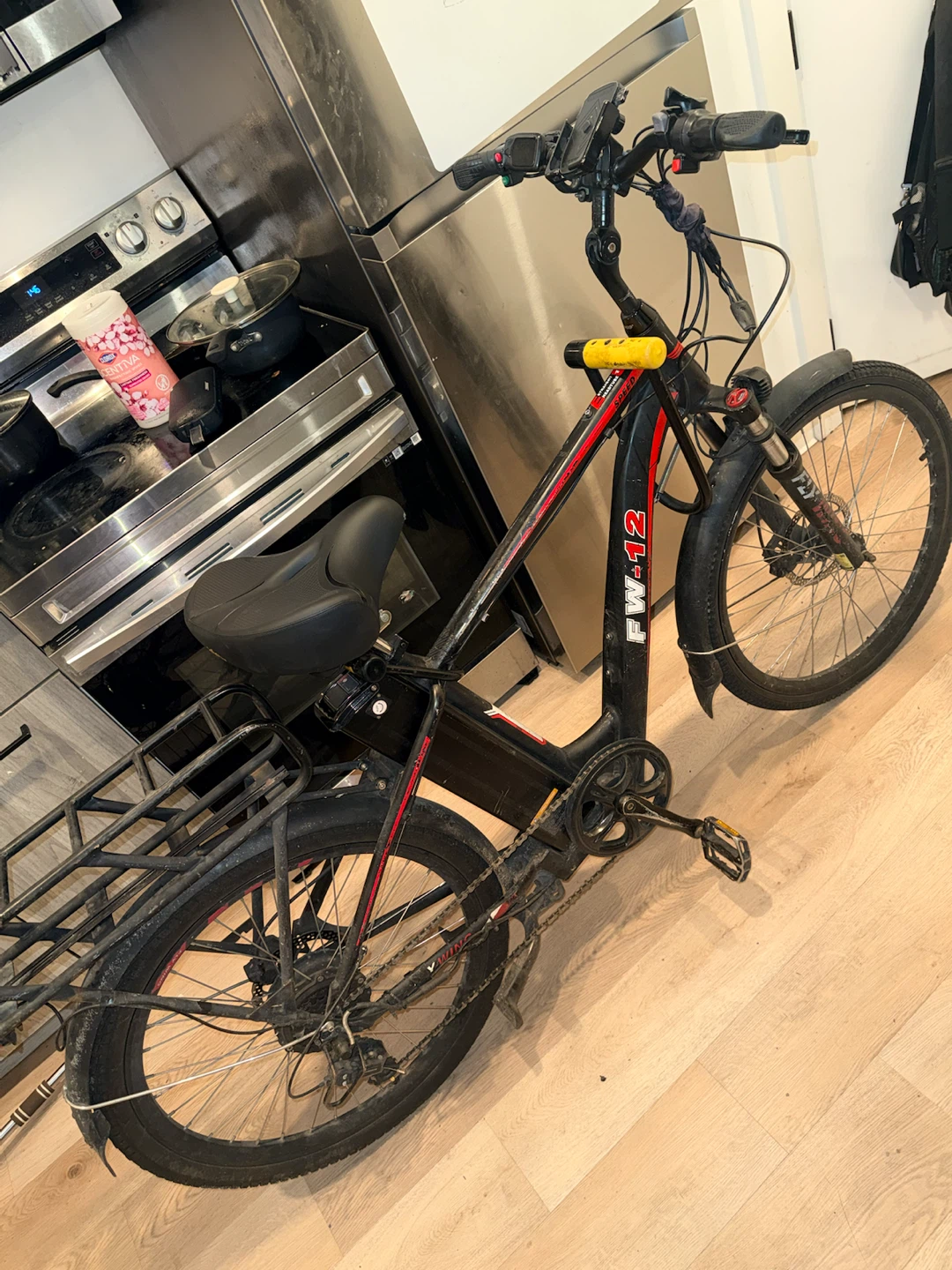 FW-12 Electric Bike