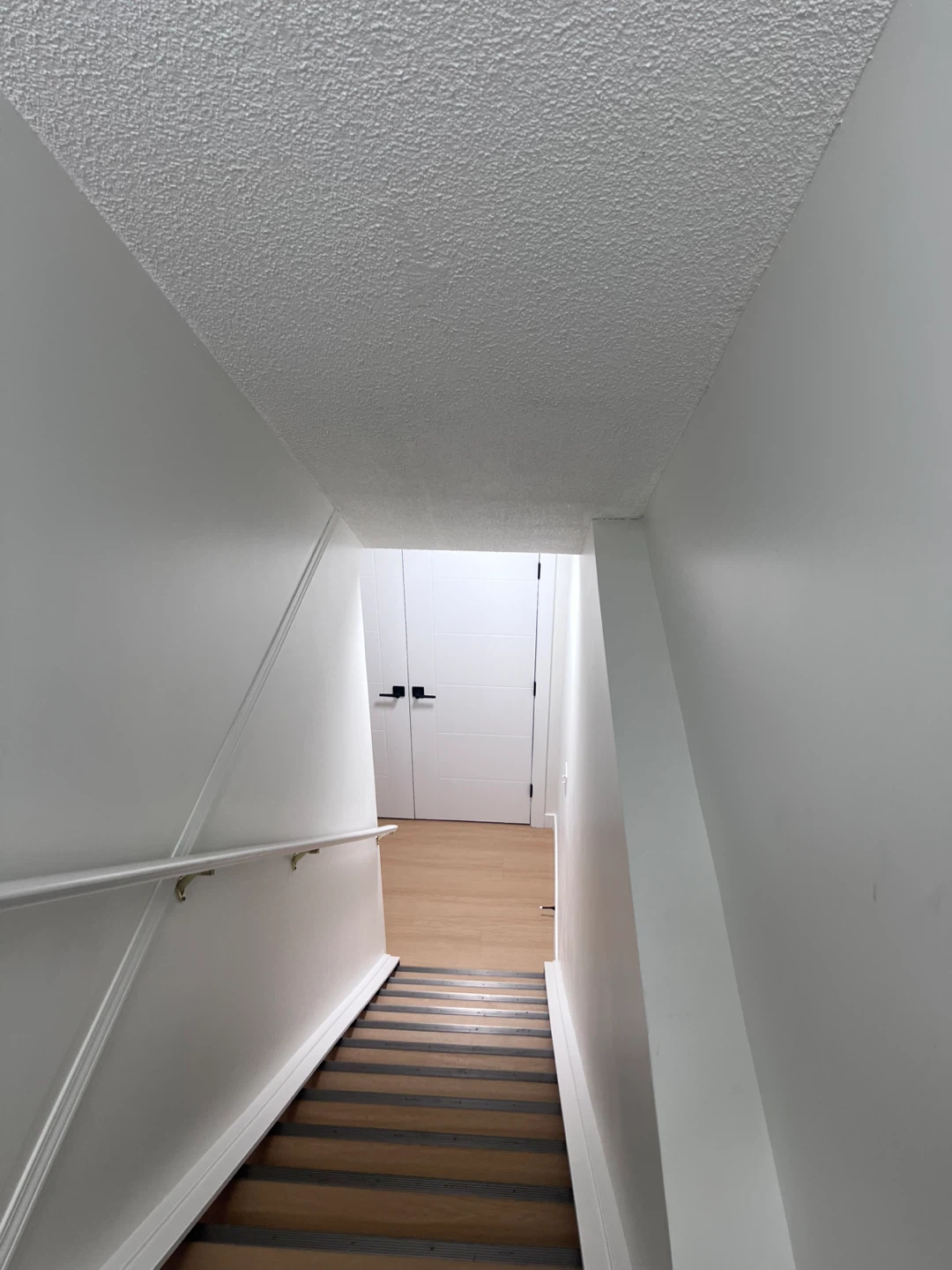 Basement for rent