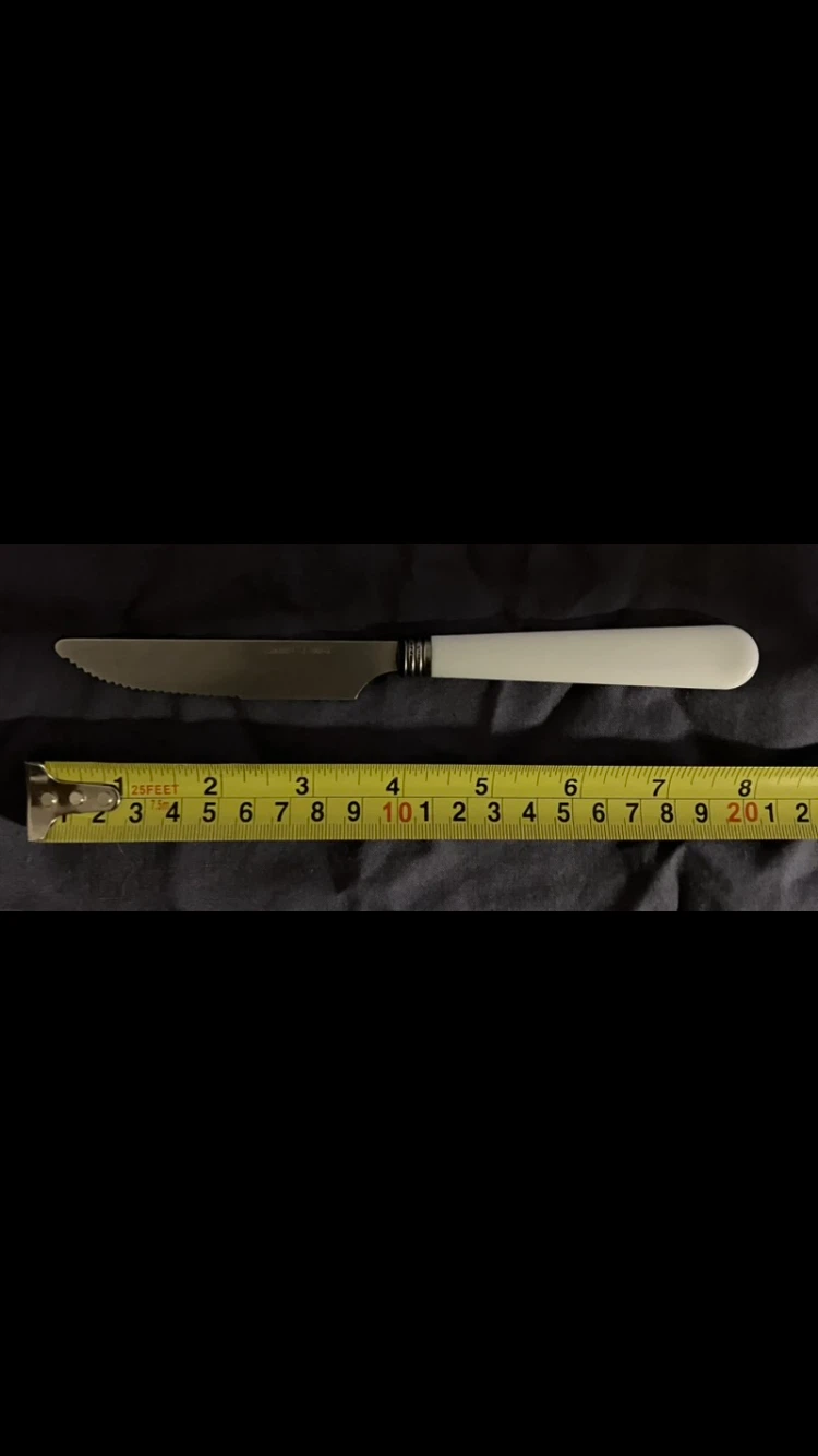 White Handle Serrated Table Knife 🍴 🔪