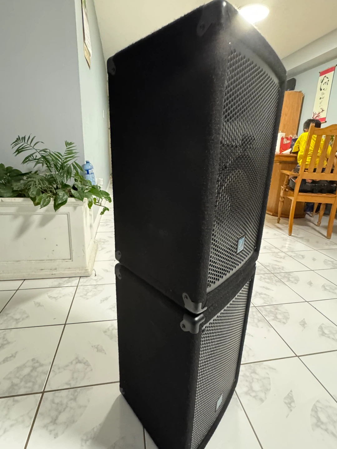 Yorkville YX10 Speakers - Pair - photo 4