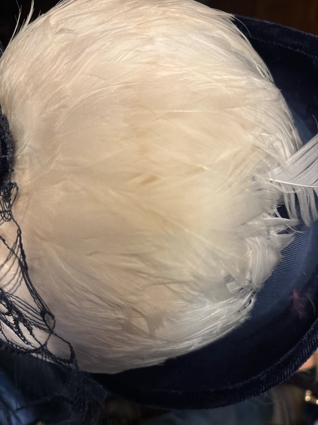 Vintage Navy Blue Hat with White Feathers - photo 5