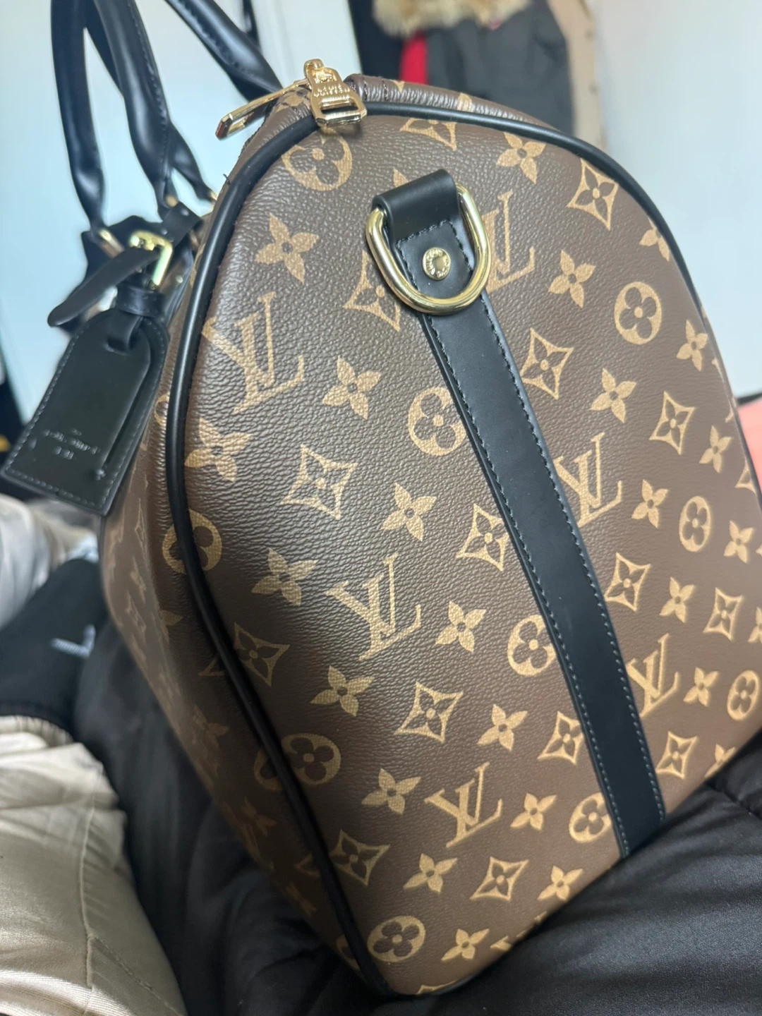 Louis Vuitton Monogram Travel Bag - photo 4