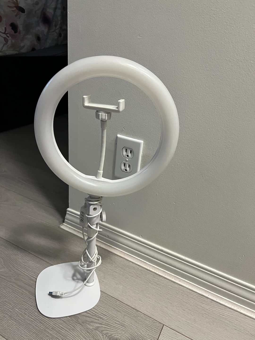 Kodak 10-inch Desk Ring Light