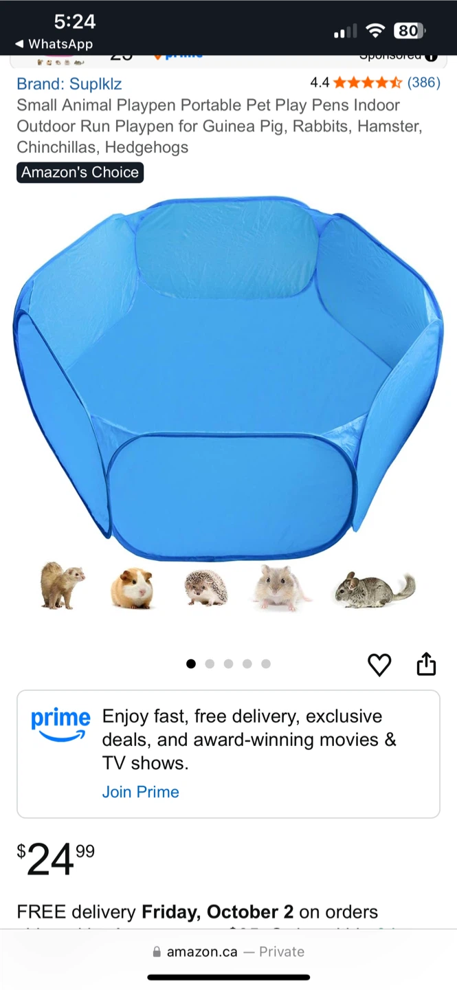 Portable Small Animal Playpen