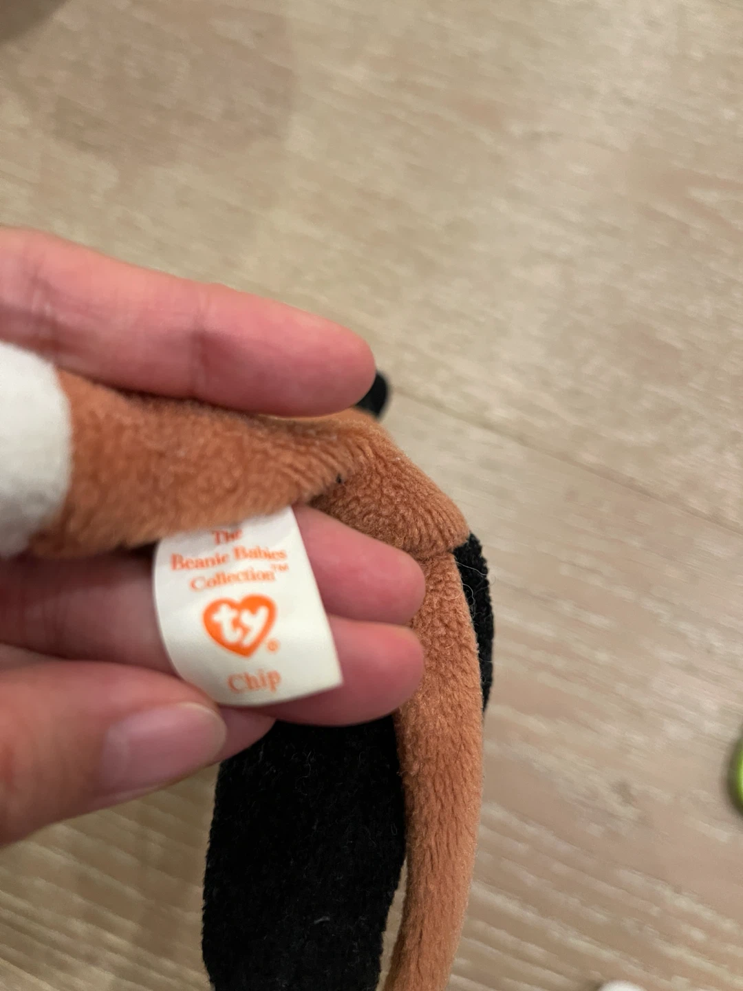 Ty Beanie Babies Chip the Cat - photo 3