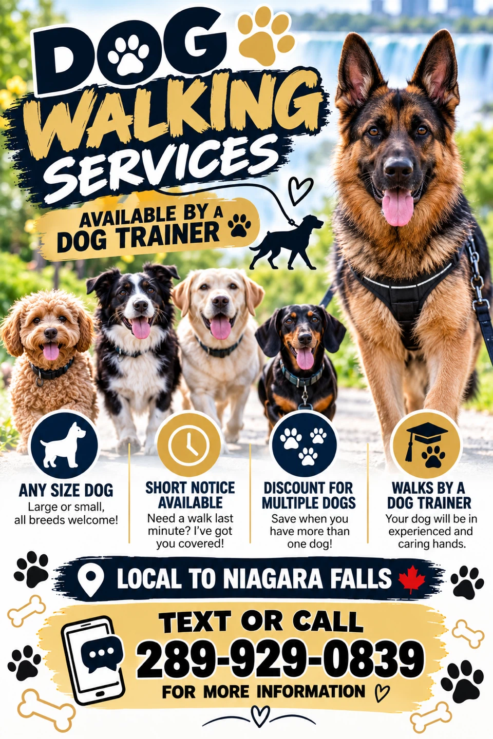 Dog walking services
