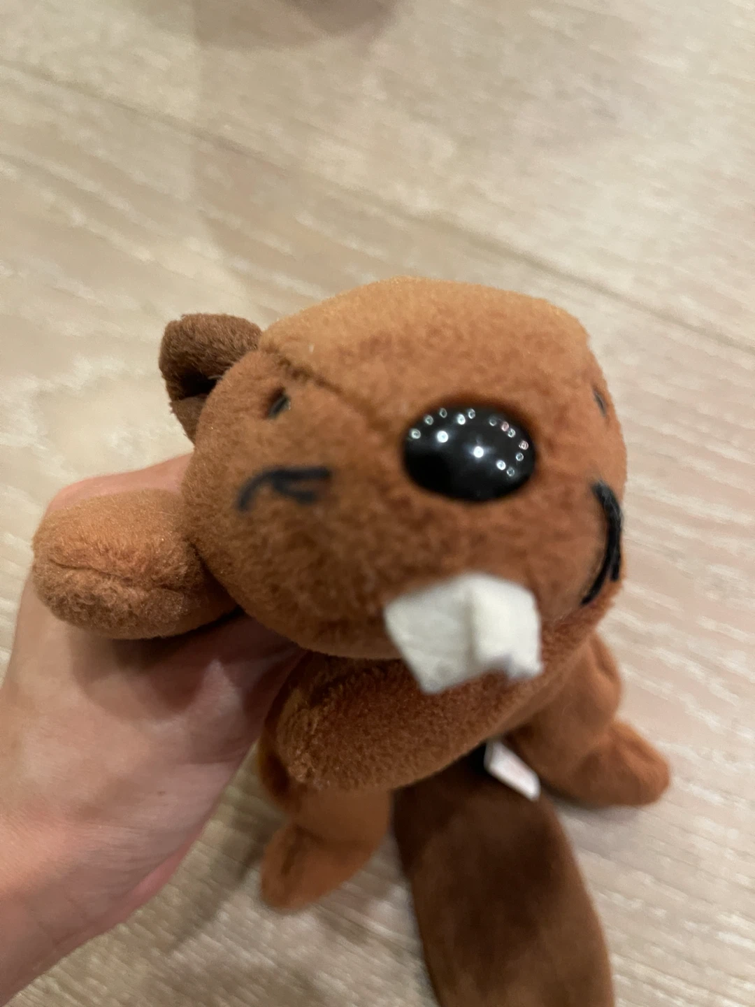 Ty Beanie Baby Bucky the Beaver