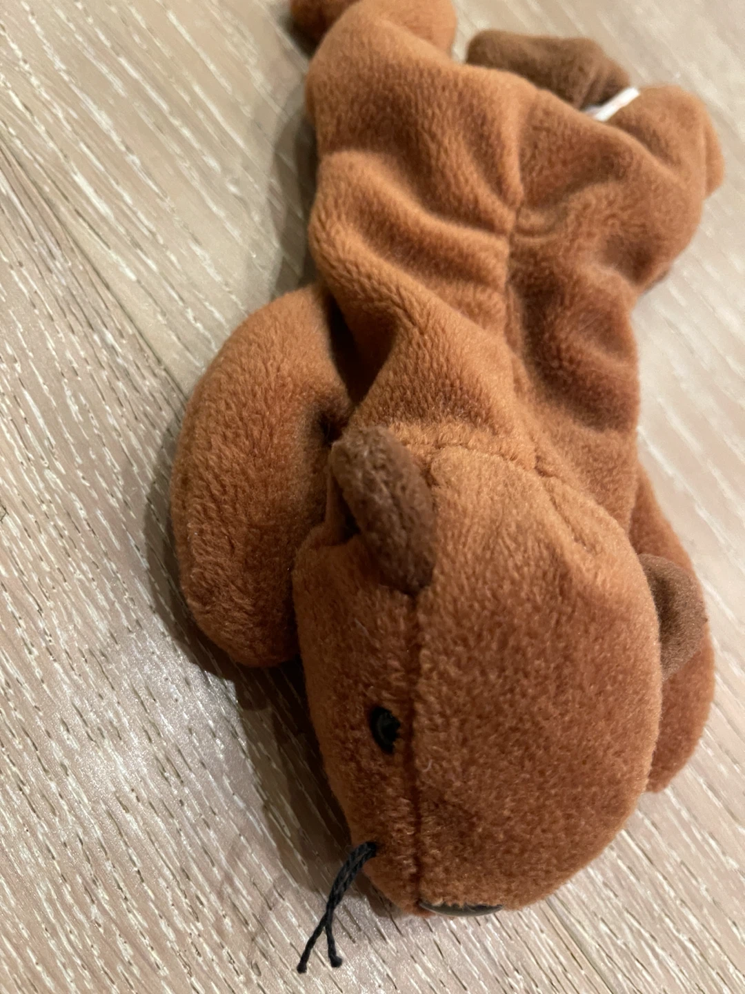 Ty Beanie Baby Bucky the Beaver - photo 2