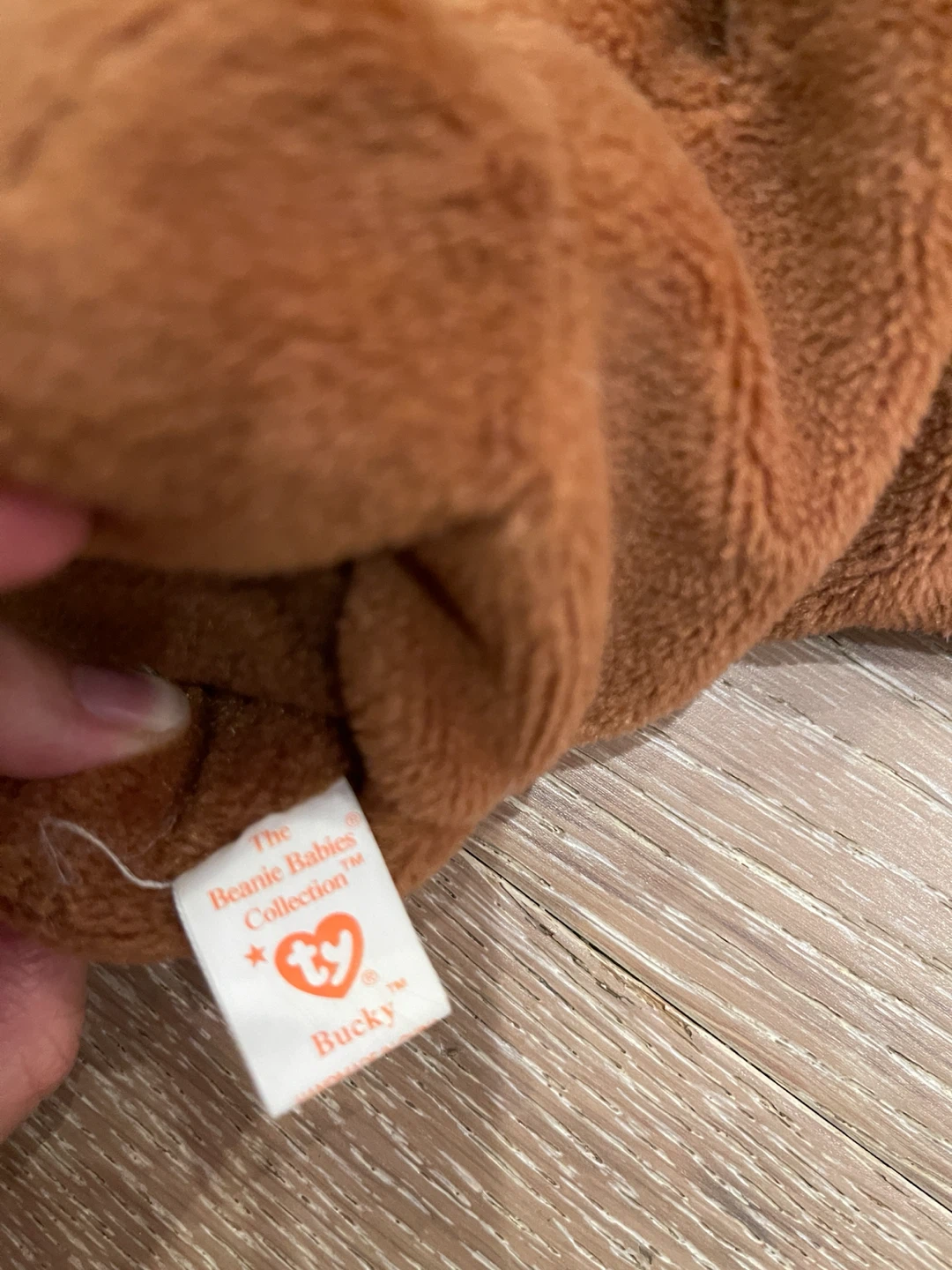 Ty Beanie Baby Bucky the Beaver - photo 3