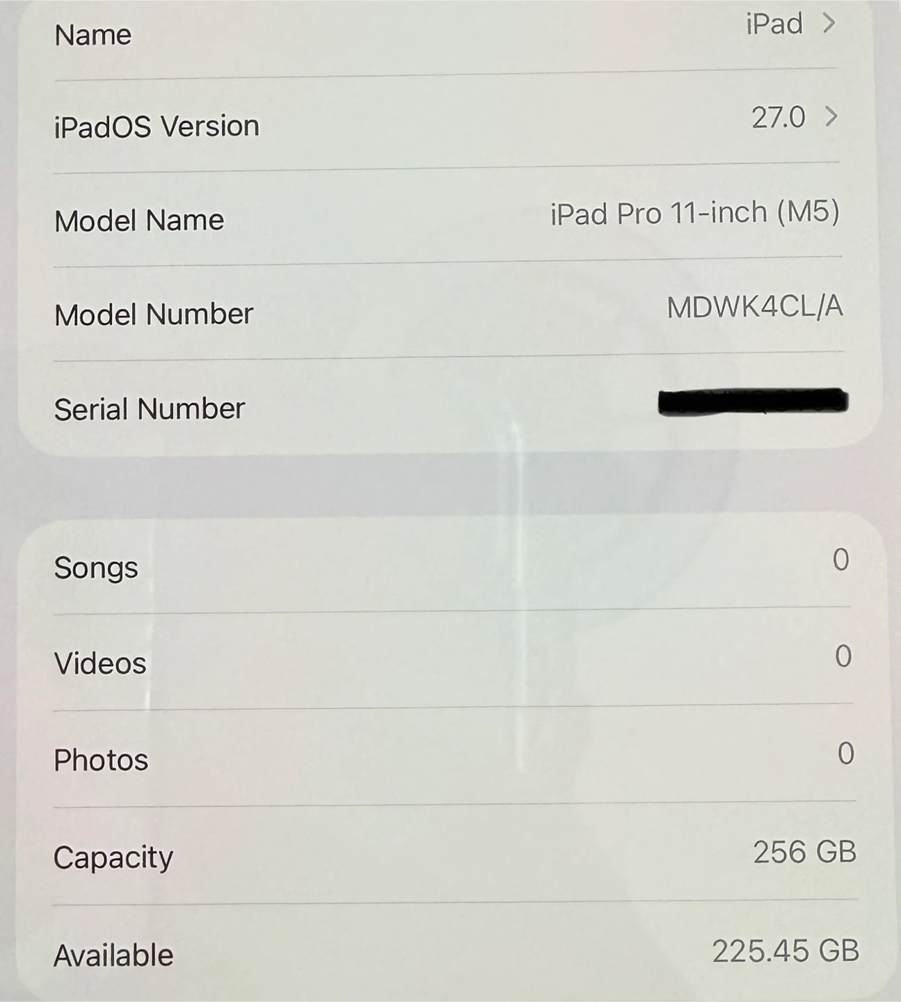 M5 / IPad Pro 11" / 256GB / Wifi / 100% Battery - *Warranty* - photo 3