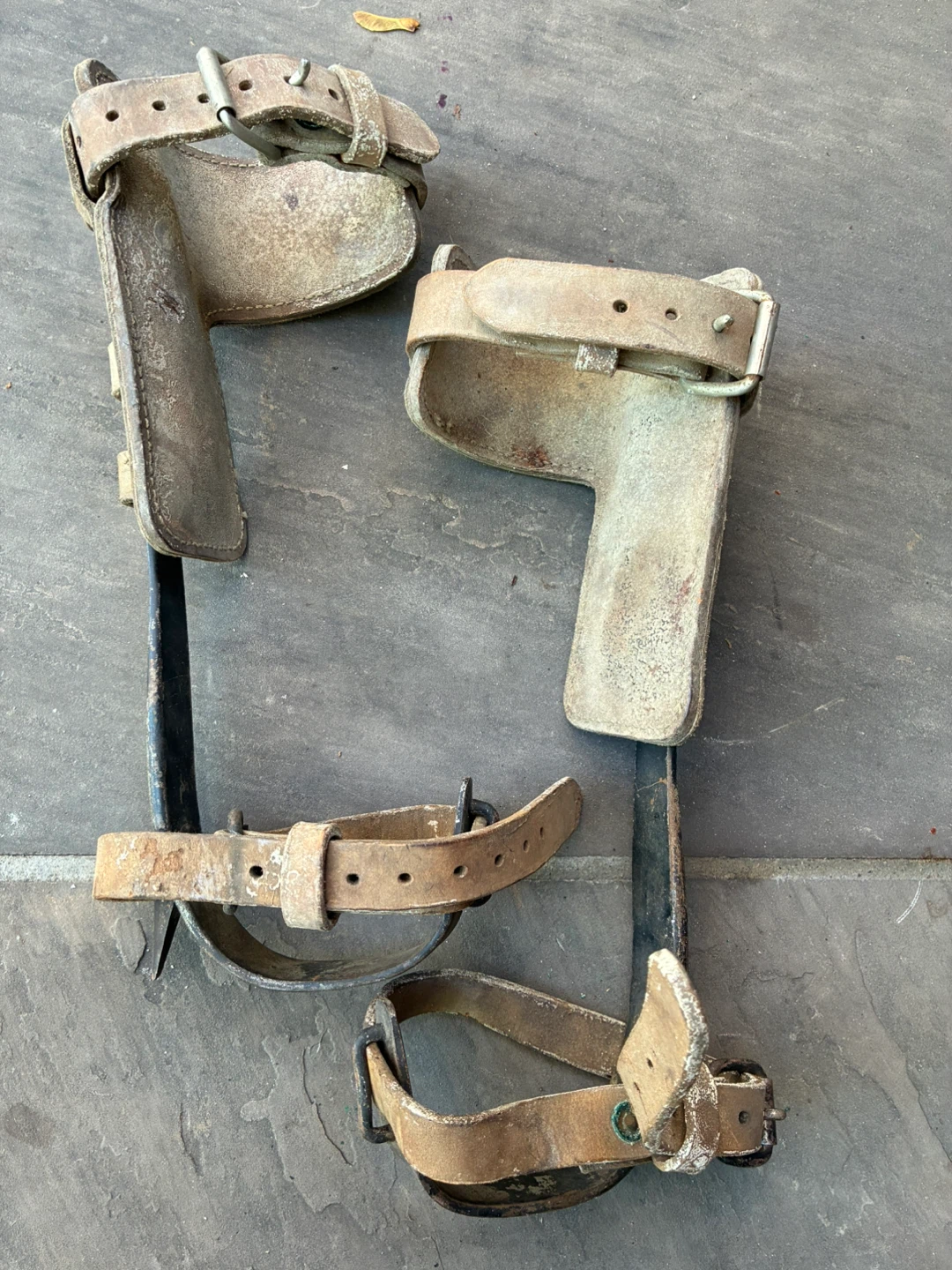 Vintage Lineman's Pole Climbing Spurs / Gaffs tool antique