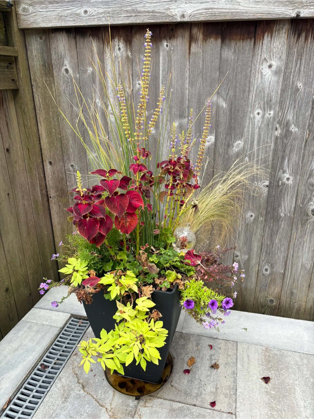 Black Square Planter with flowers Plants