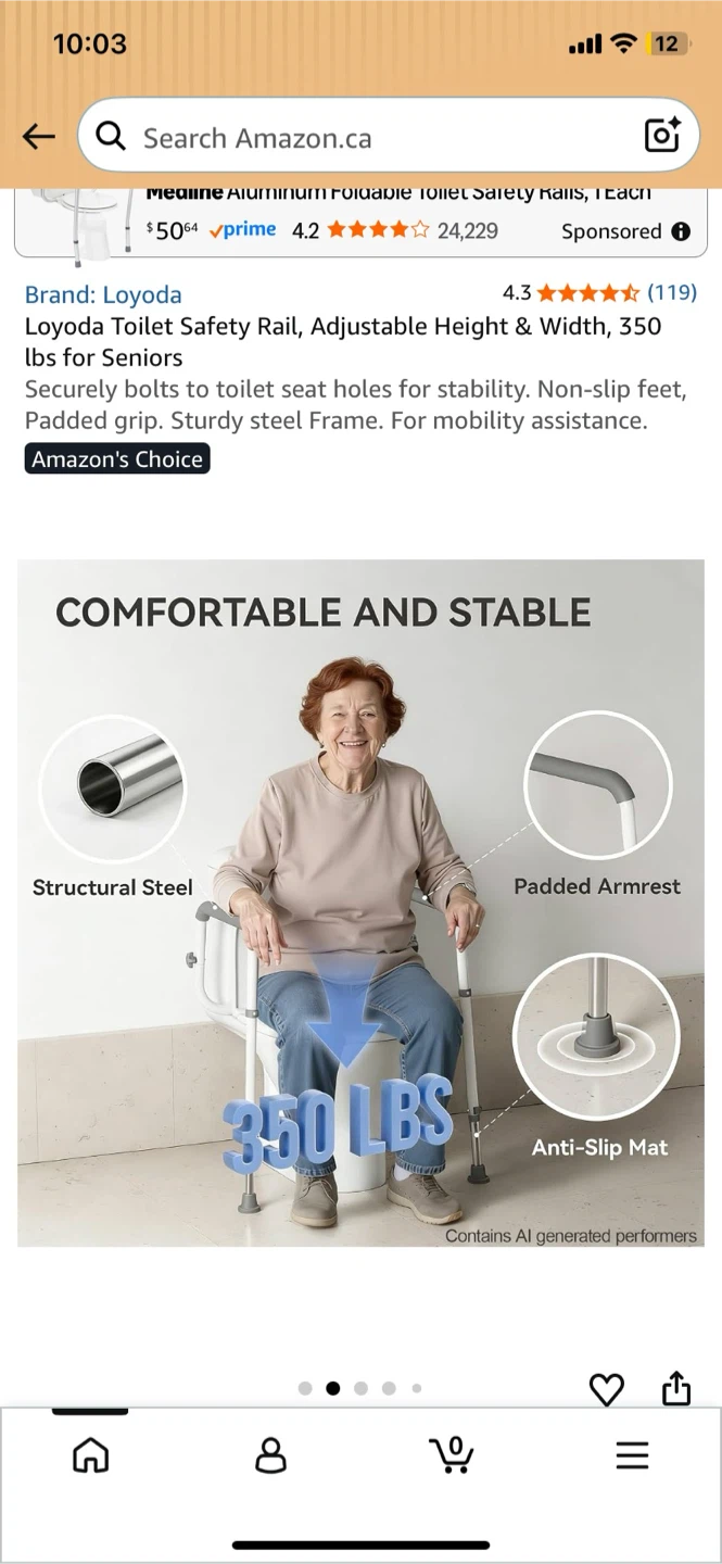 Loyoda Toilet Safety Rail - photo 2