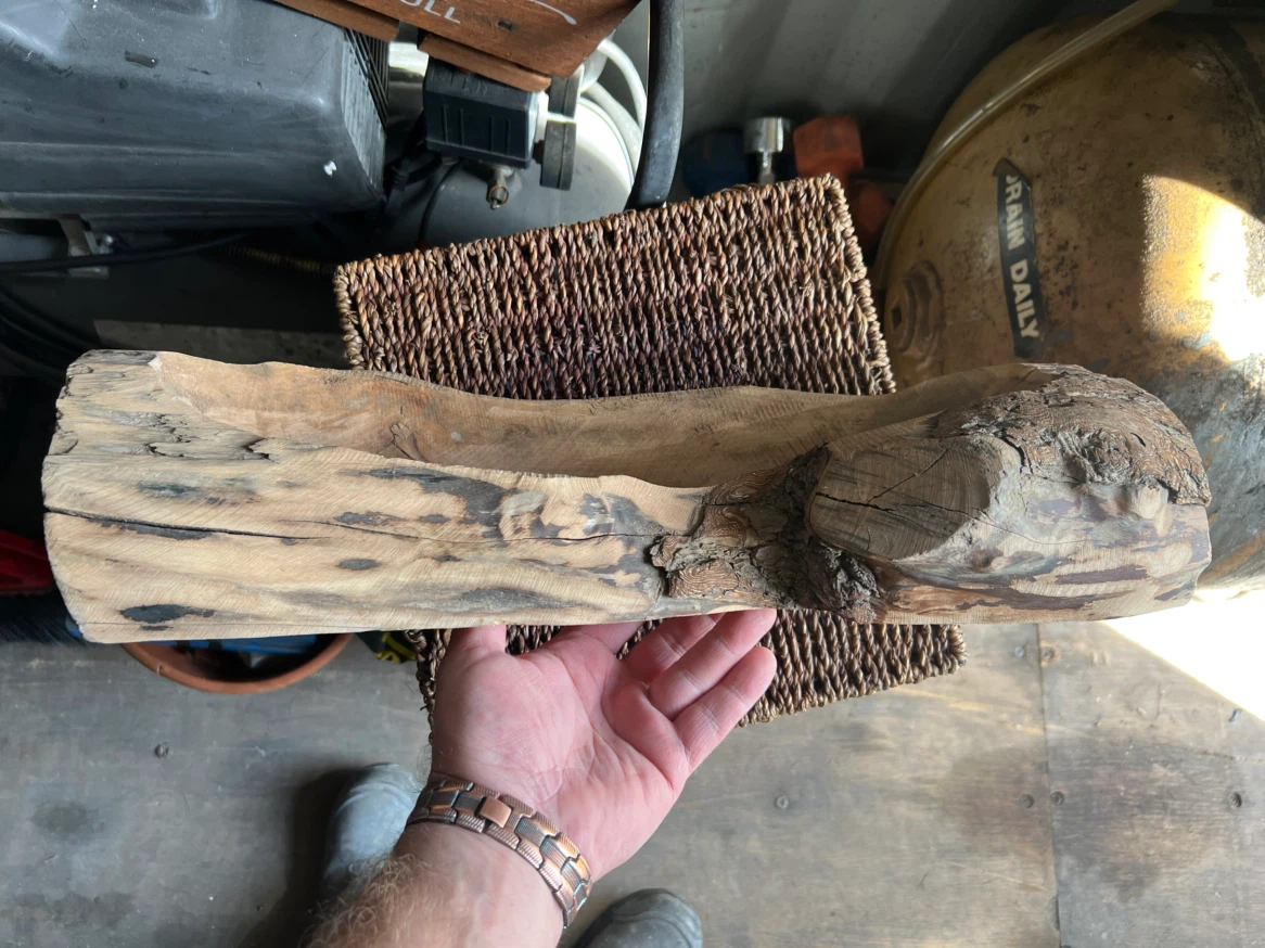 Natural Hollow Log Wood Bowl - photo 2