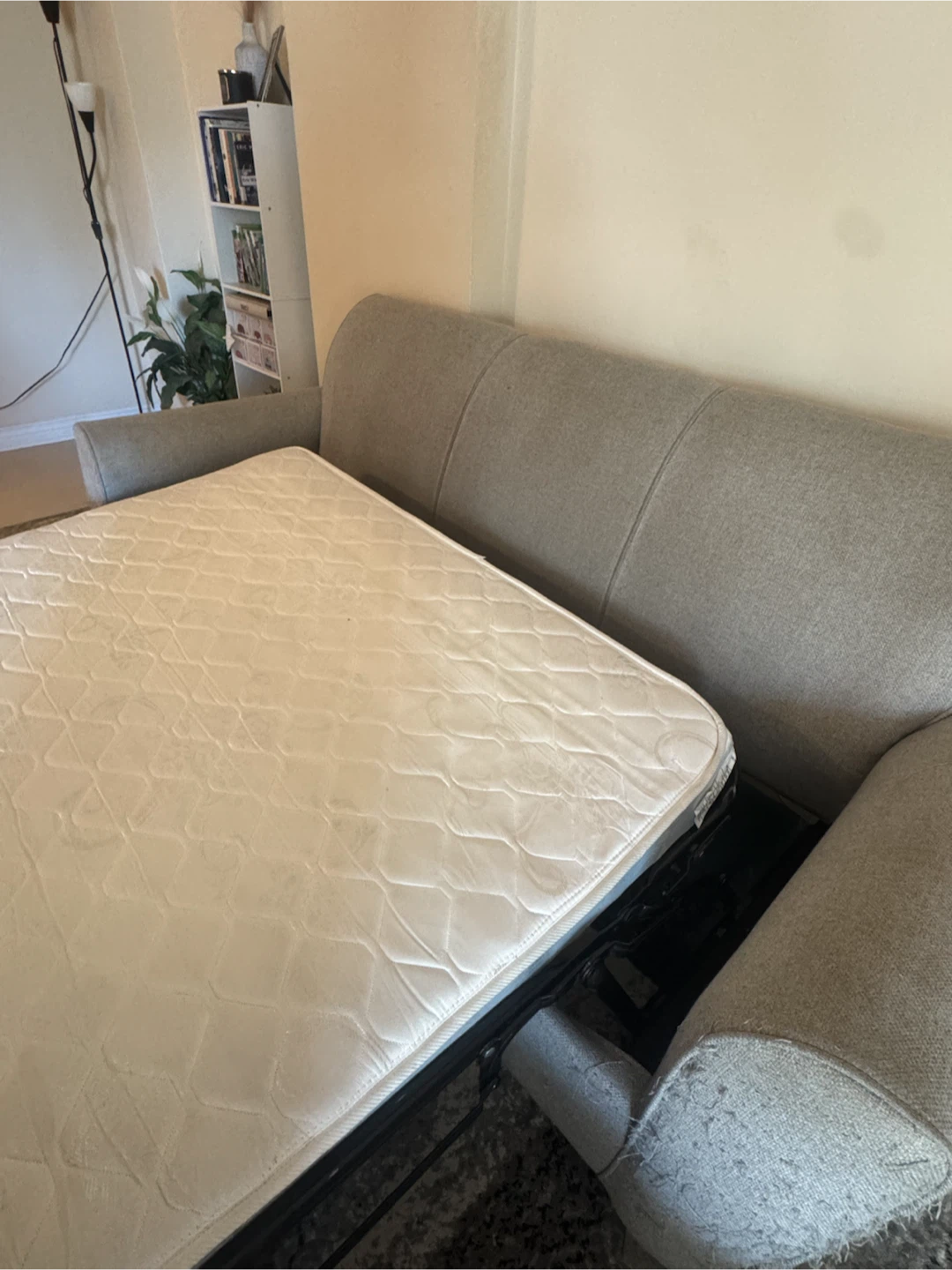 Light Grey Sofa Bed - photo 5