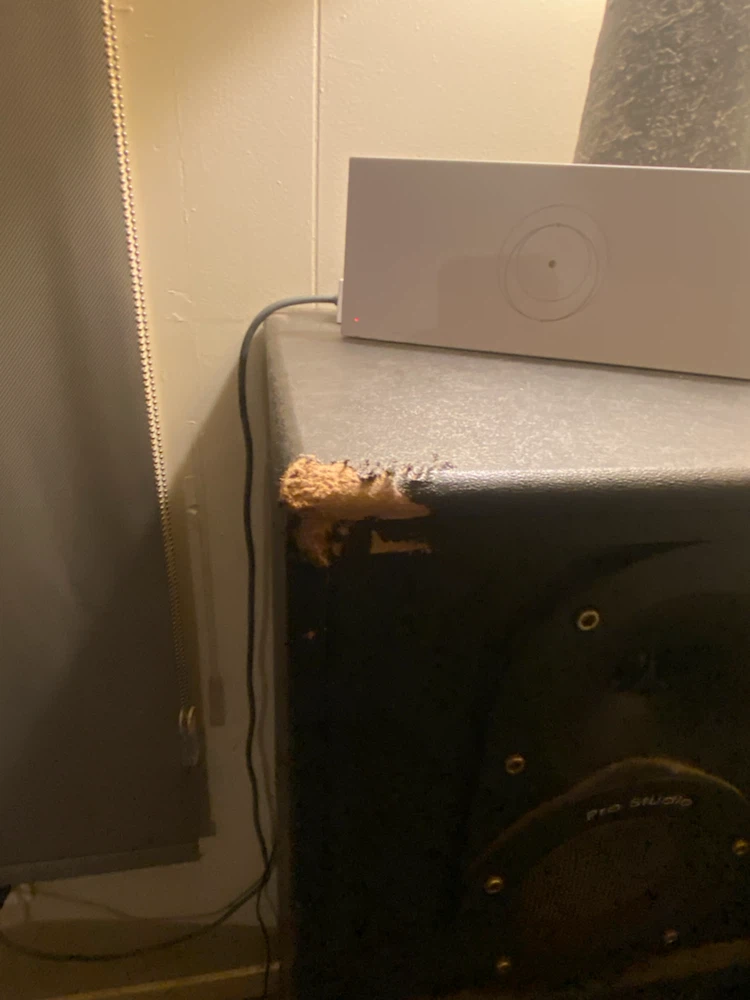 Pro Studio Floor Standing Speaker - photo 3