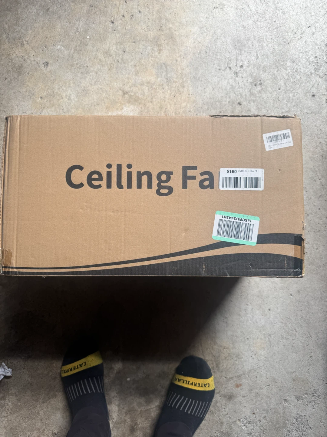 New Ceiling Fan
