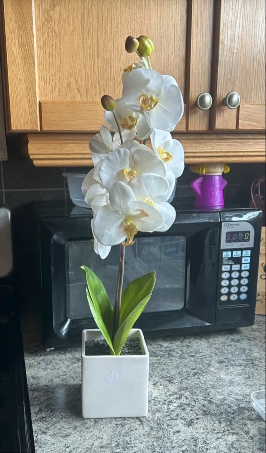 Artificial White Orchid in Square Pot