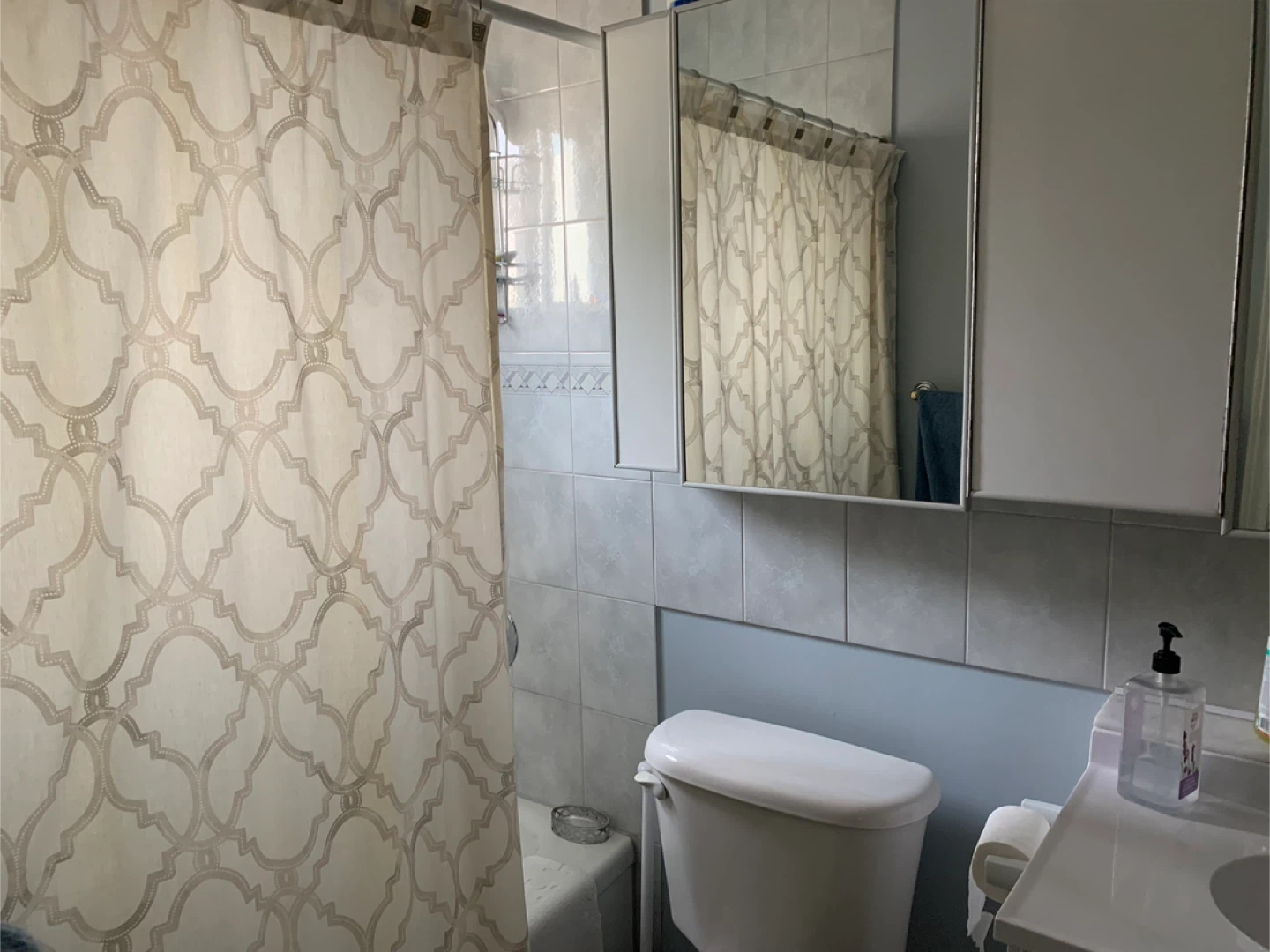 Furnished private 1 bedrm apt. Oct 9 - photo 4
