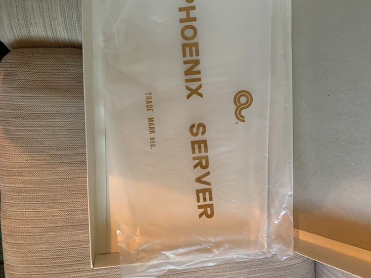 Vintage Phoenix Server Salon Tray-Japan - photo 3