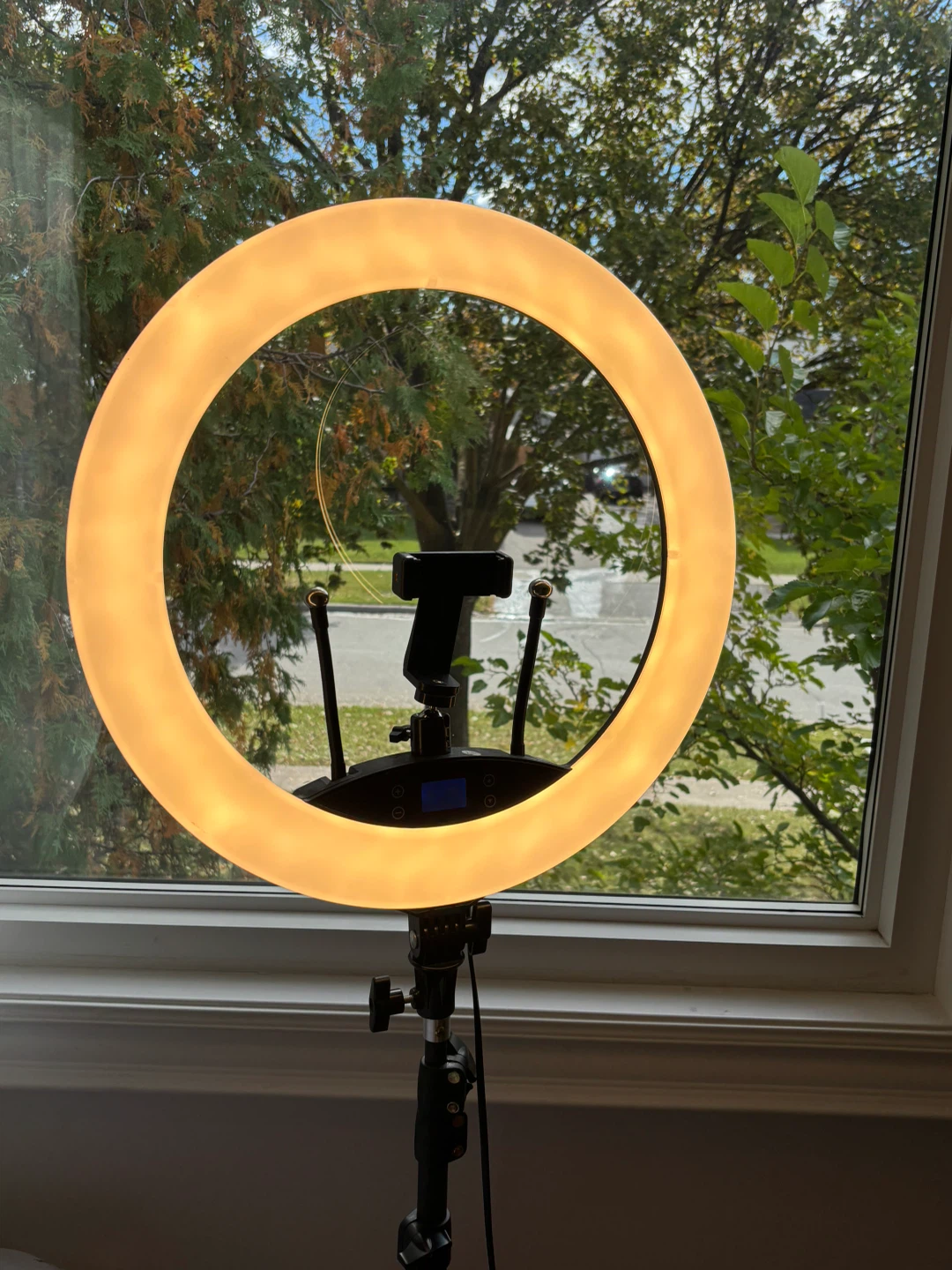 Ring Light with Adjustable Stand