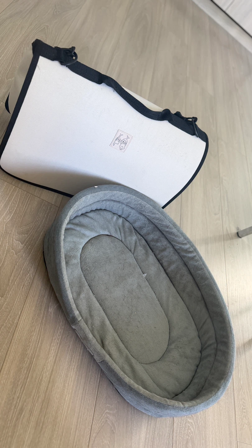 Pet Carrier and Bed Set