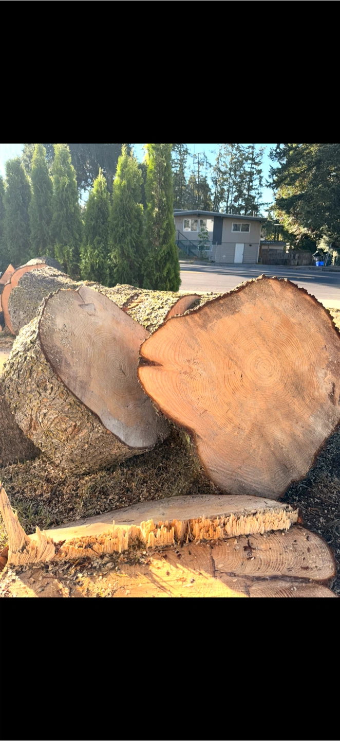 Wood for Sale