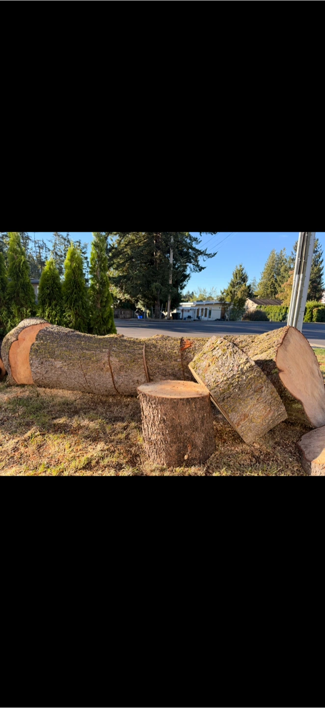 Wood for Sale - photo 2