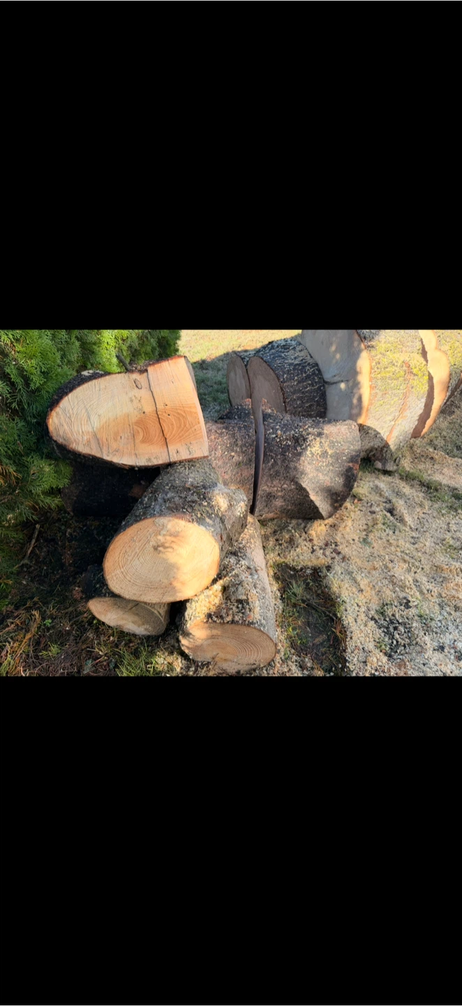 Wood for Sale - photo 3