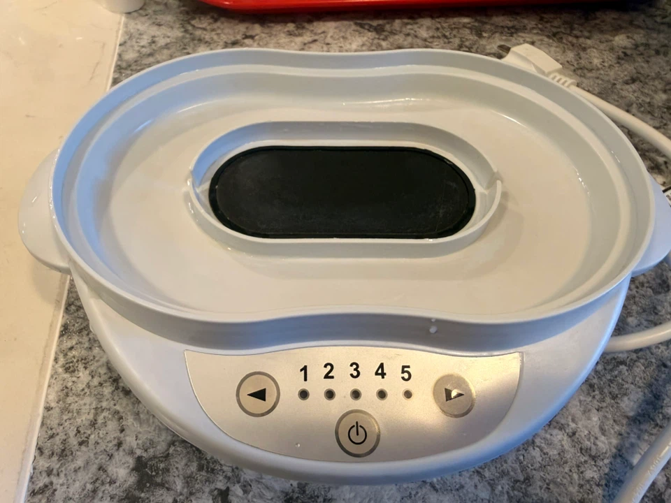 Electric veggie/meat/fish//egg steamer