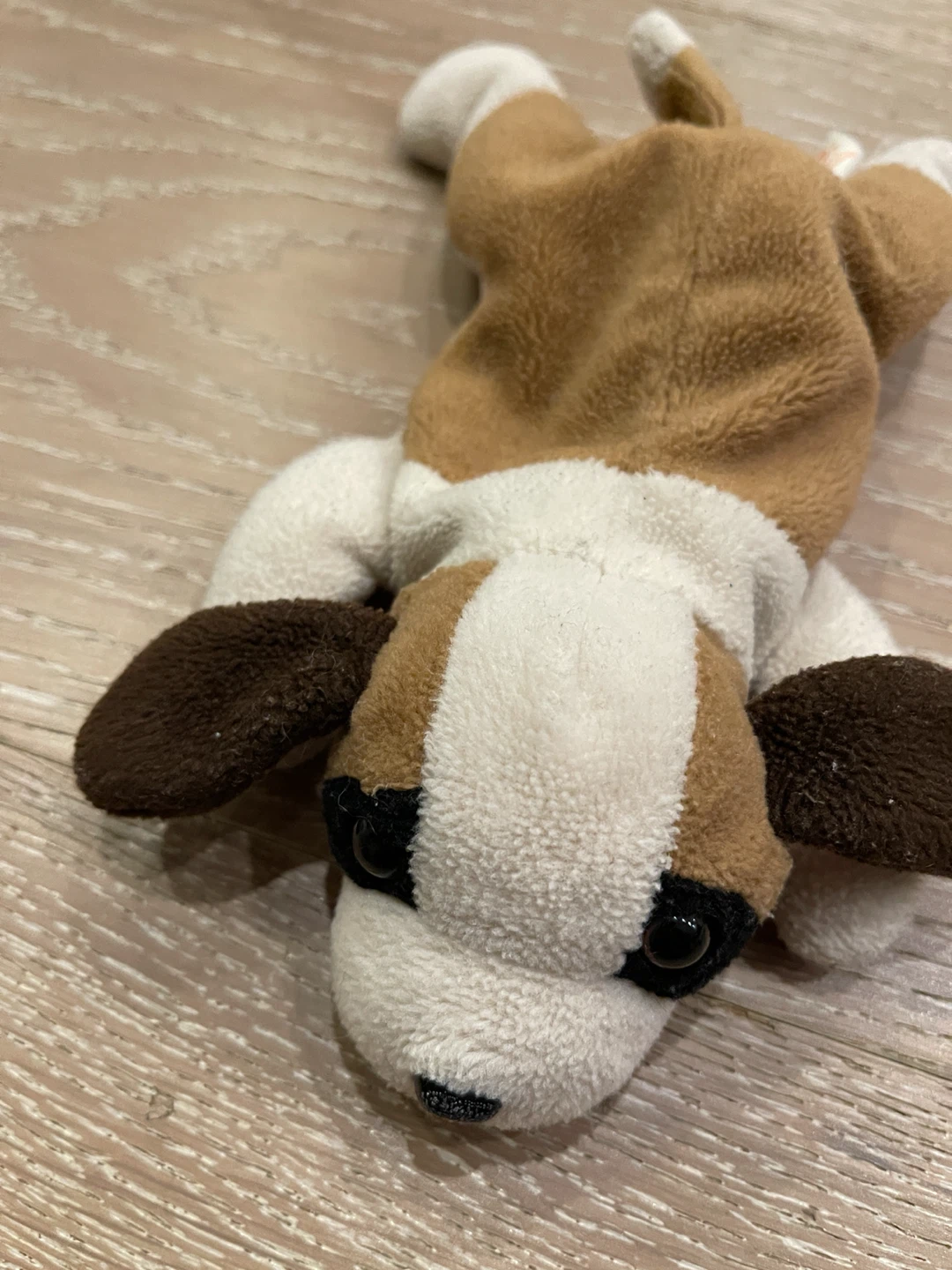 Ty Beanie Babies Bernie Dog - photo 2