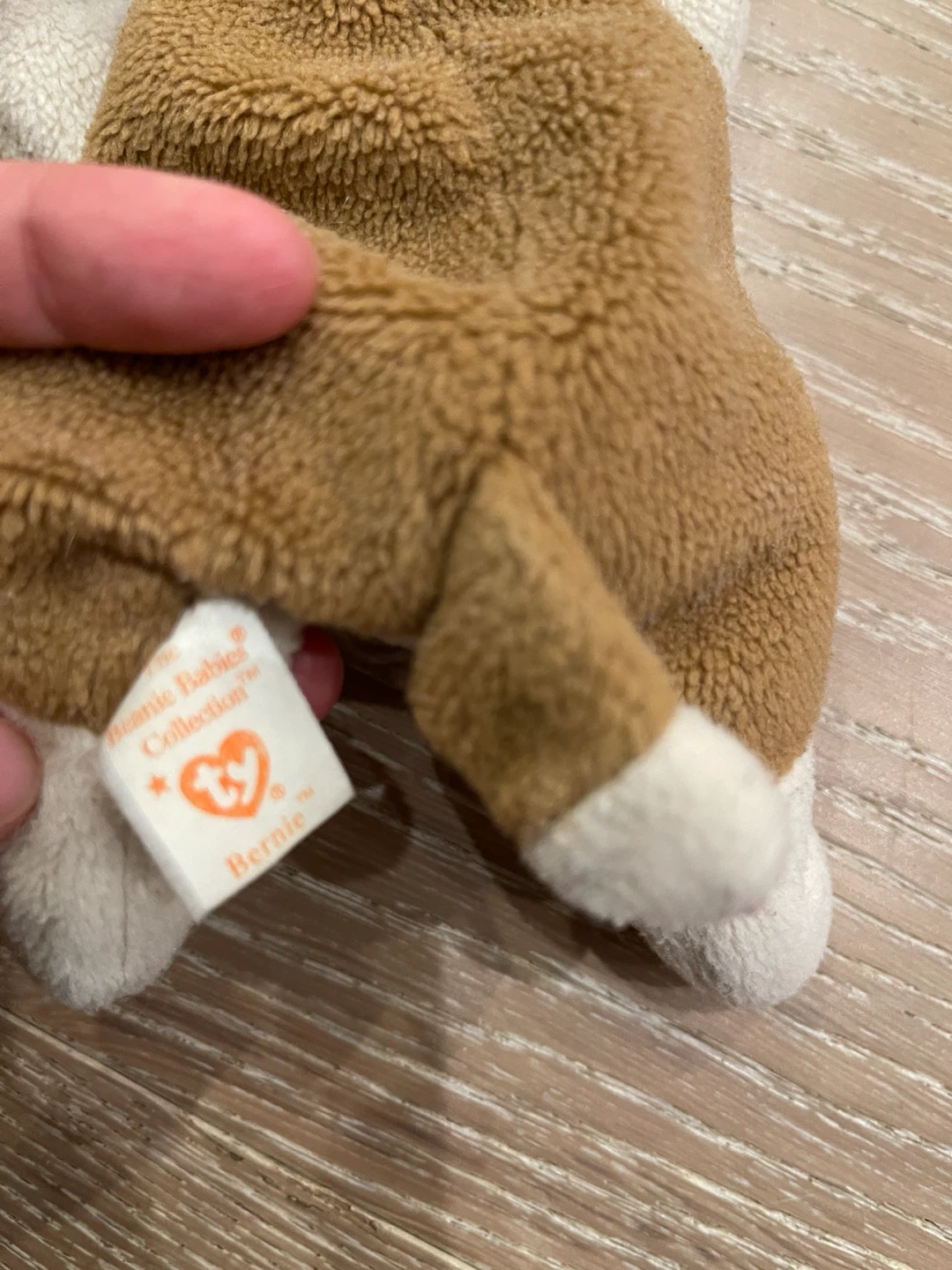 Ty Beanie Babies Bernie Dog - photo 3