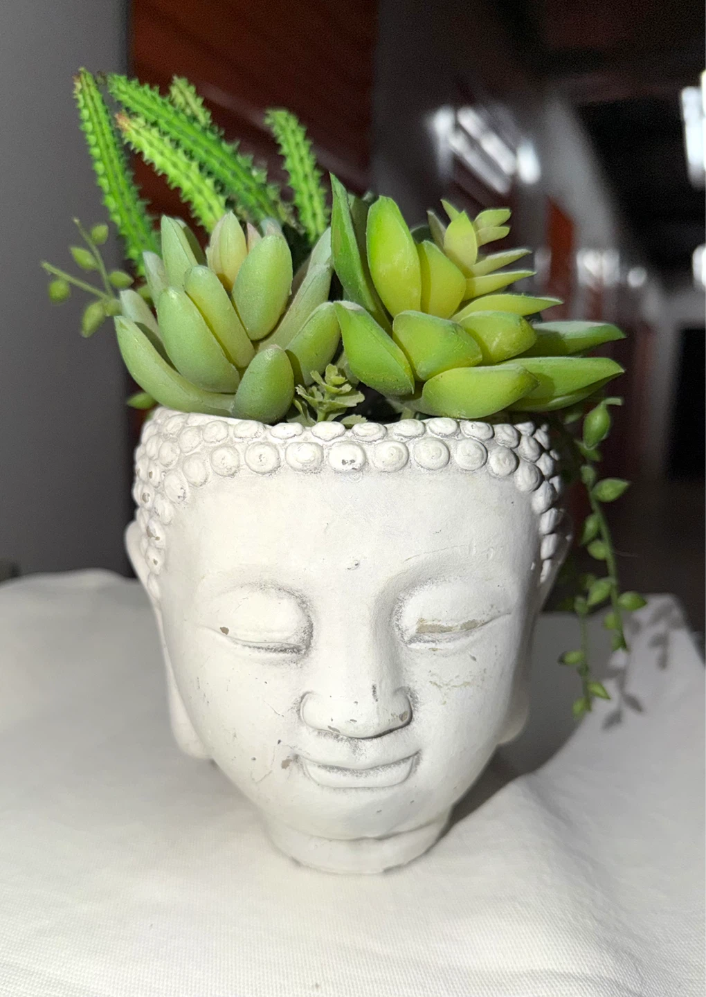 Set of 2 Buddha Head Succulent Planters