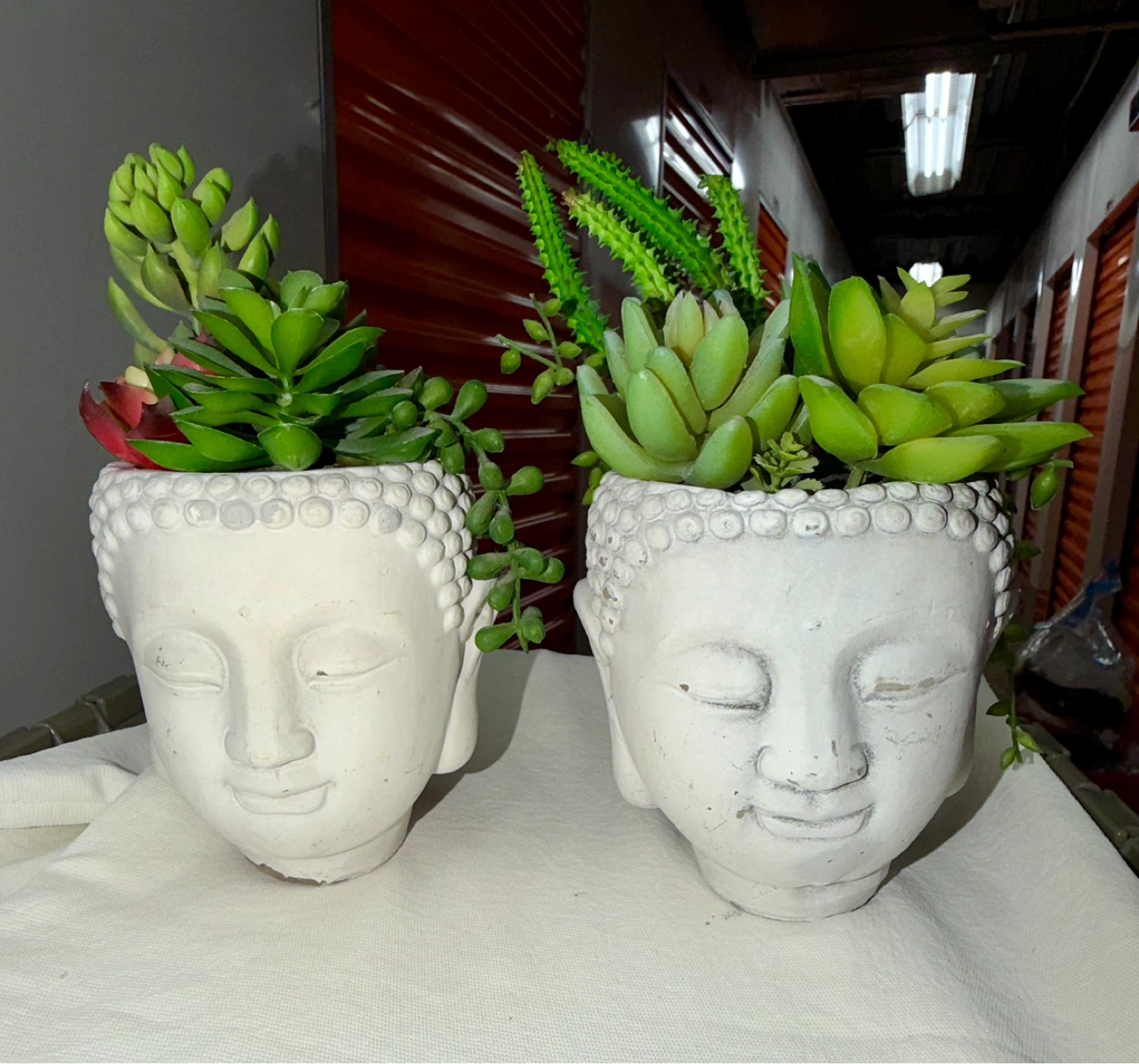 Set of 2 Buddha Head Succulent Planters - photo 3