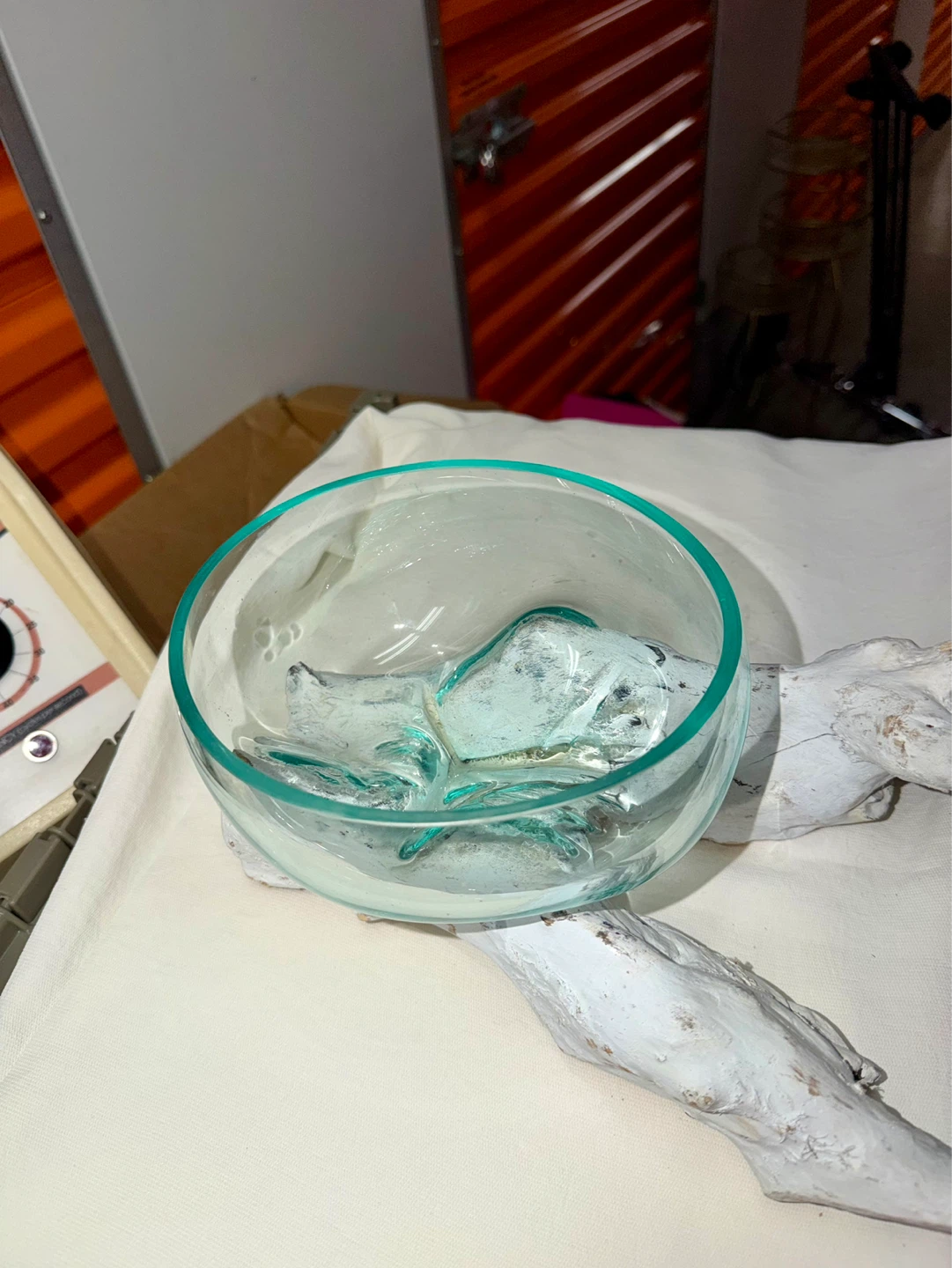 Natural Wood and Glass Decorative Bowl