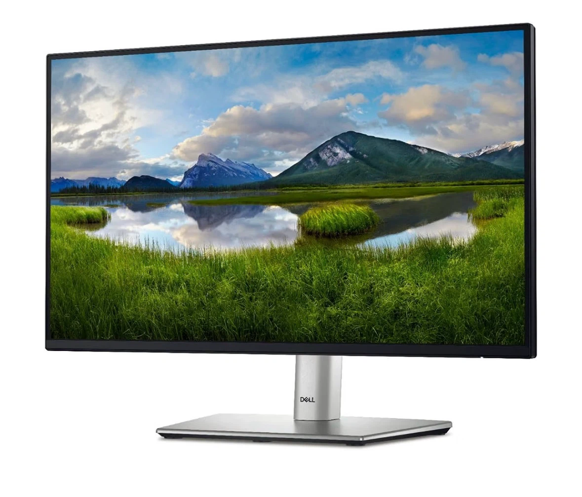 2x Dell 24” Monitors – P2422H – Full HD 1080p IPS