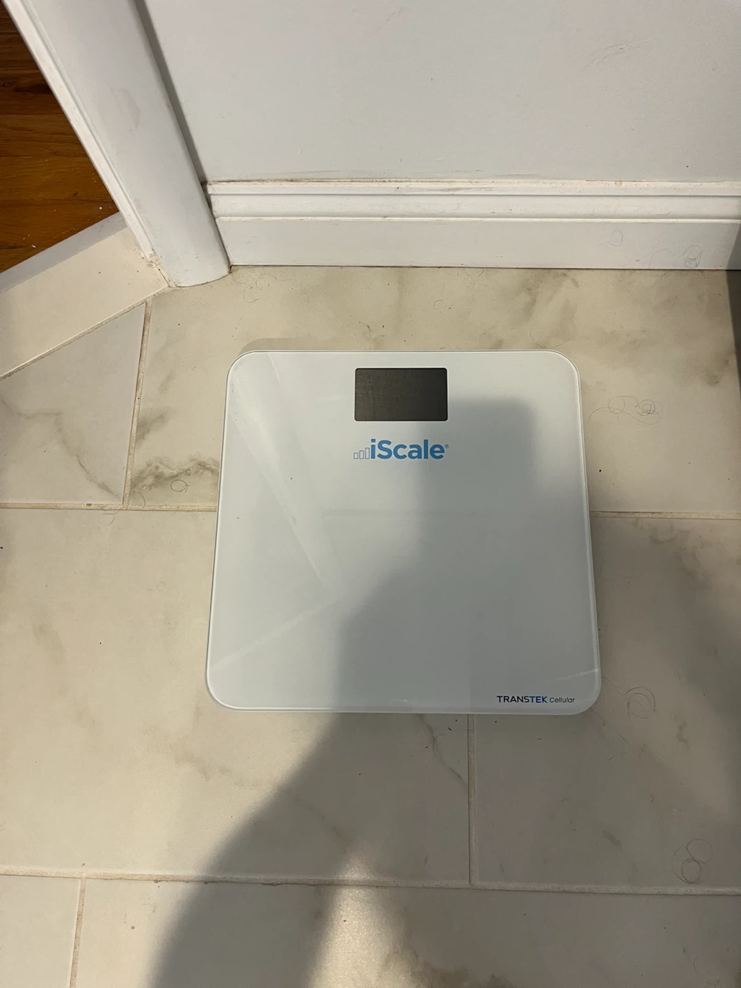 Digital Scale