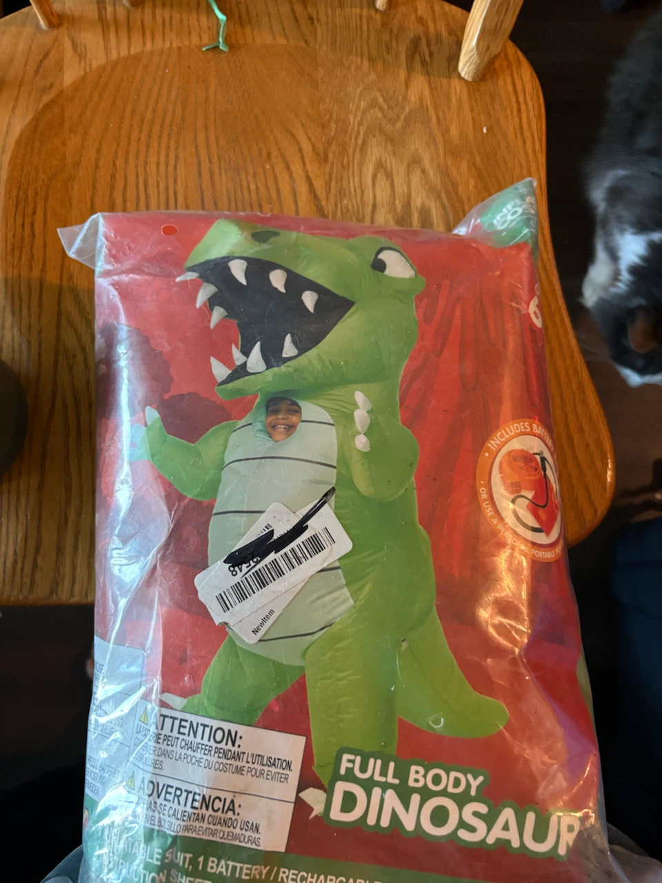 Kids Inflatable Dinosaur Costume - photo 3
