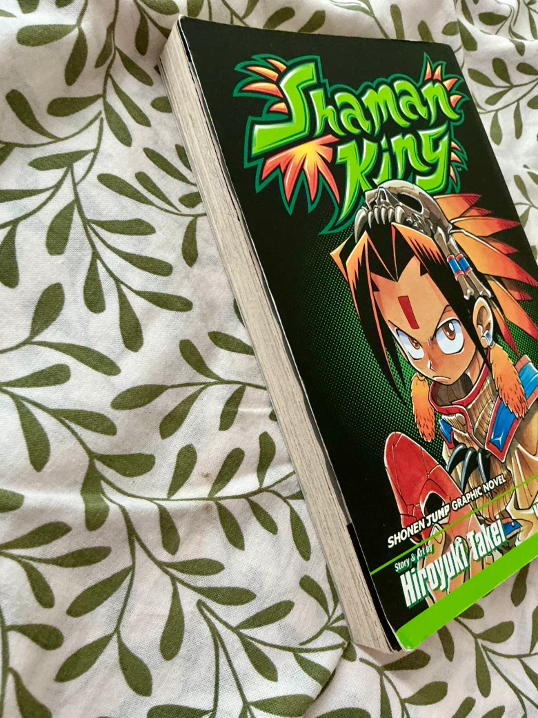 Shaman King volume 1 (Out-Of-Print) - photo 4