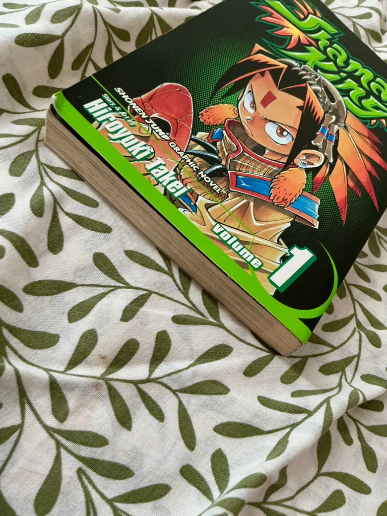 Shaman King volume 1 (Out-Of-Print) - photo 5