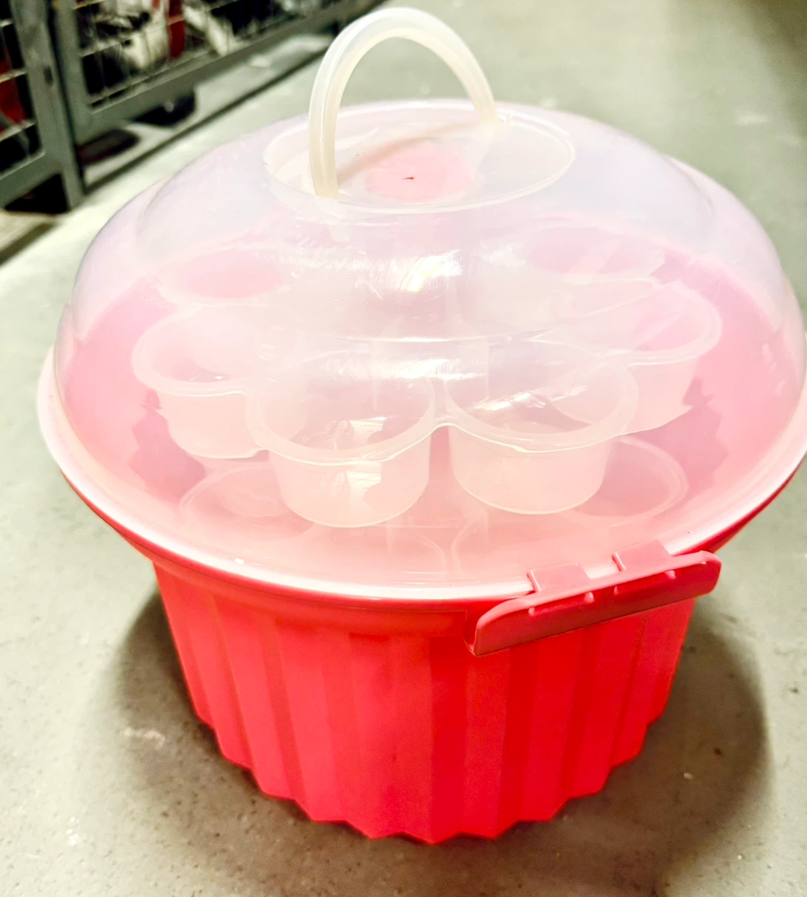 Cupcake Carrier and Display