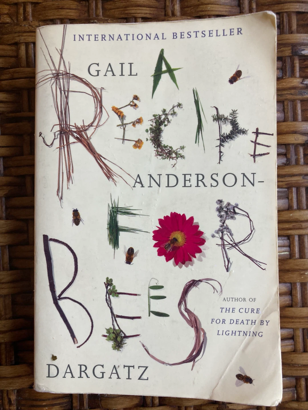 A Recipe for Bees by Gail Anderson-Dargatz