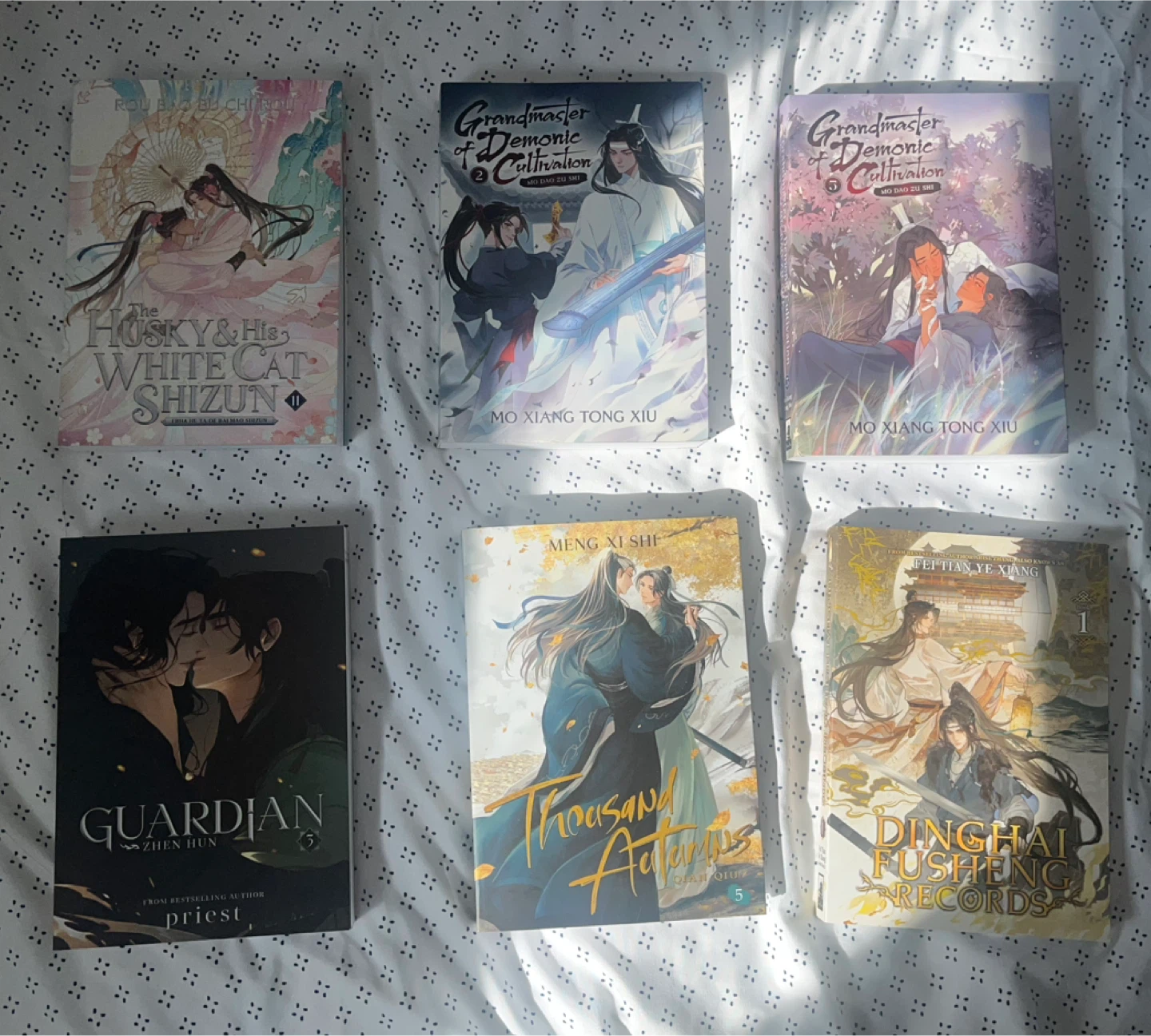 Danmei Special Edition Books (w/ collectibles)