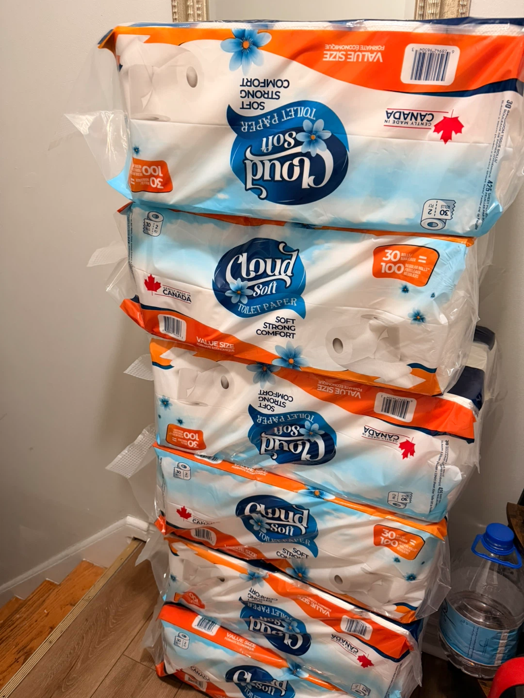 Cloud Soft Toilet Paper - 30 Rolls