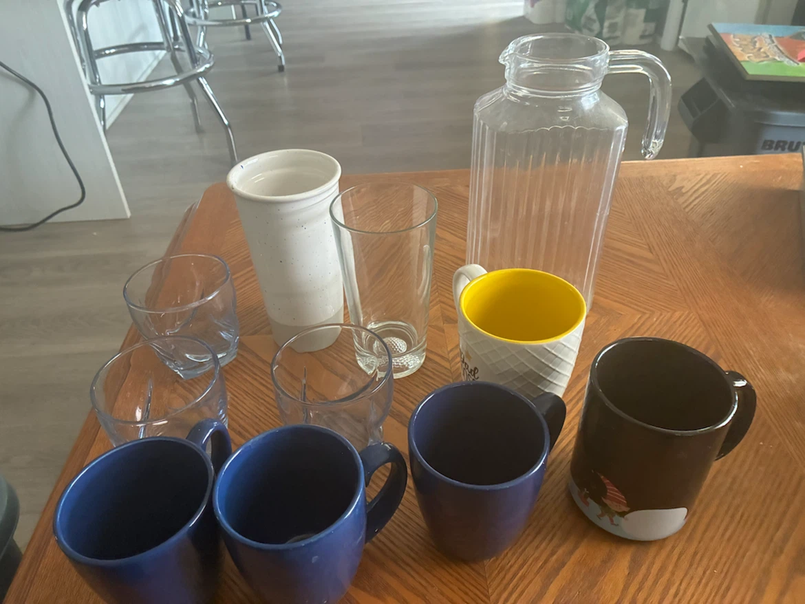 FREE HOUSE PURGE - photo 2